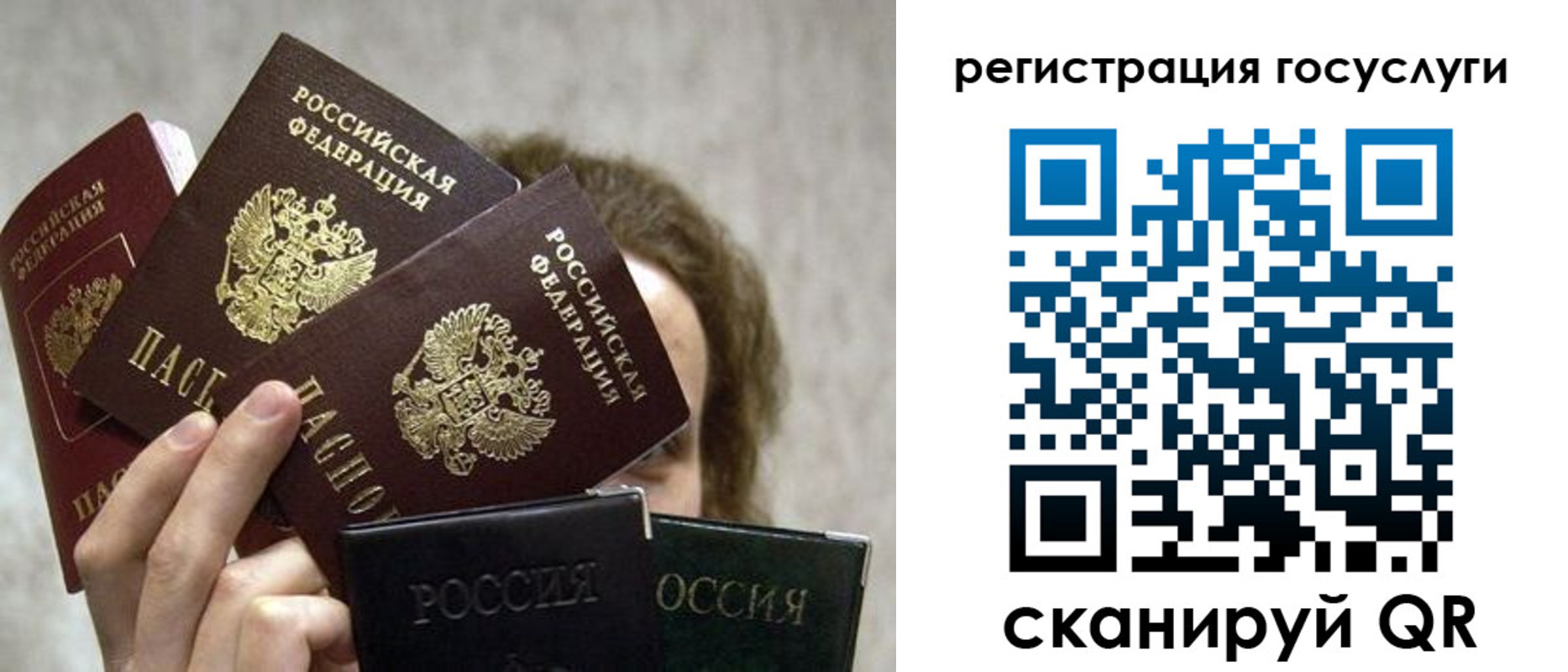 временная регистрация поиск в Новозыбкове